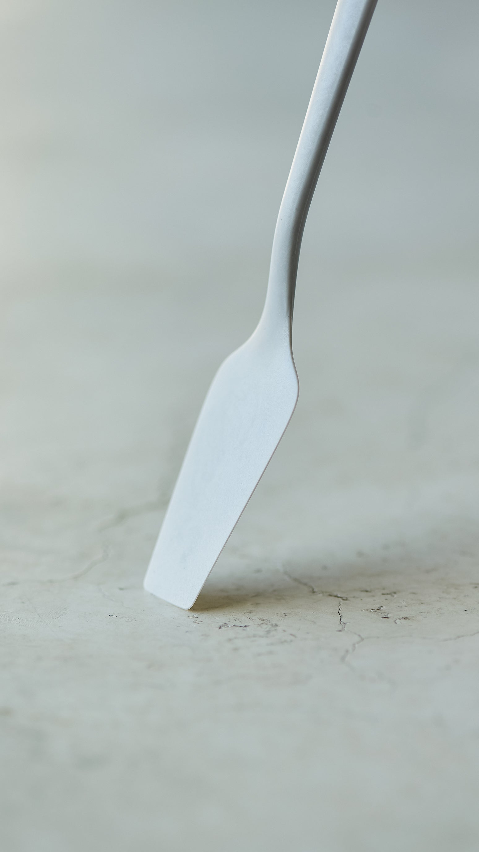 Spoon（2本入り）