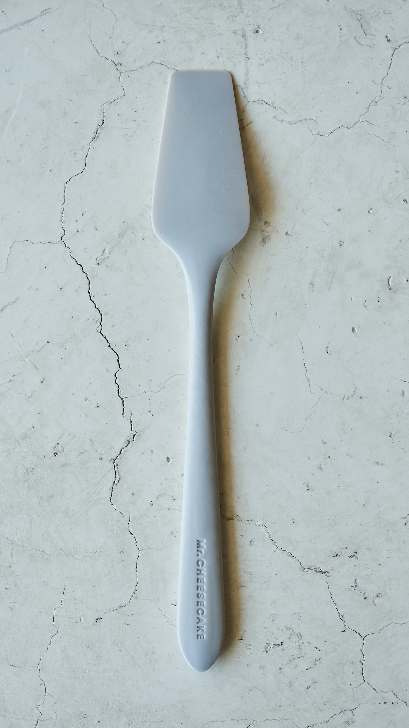 Mr. CHEESECAKE & Spoon