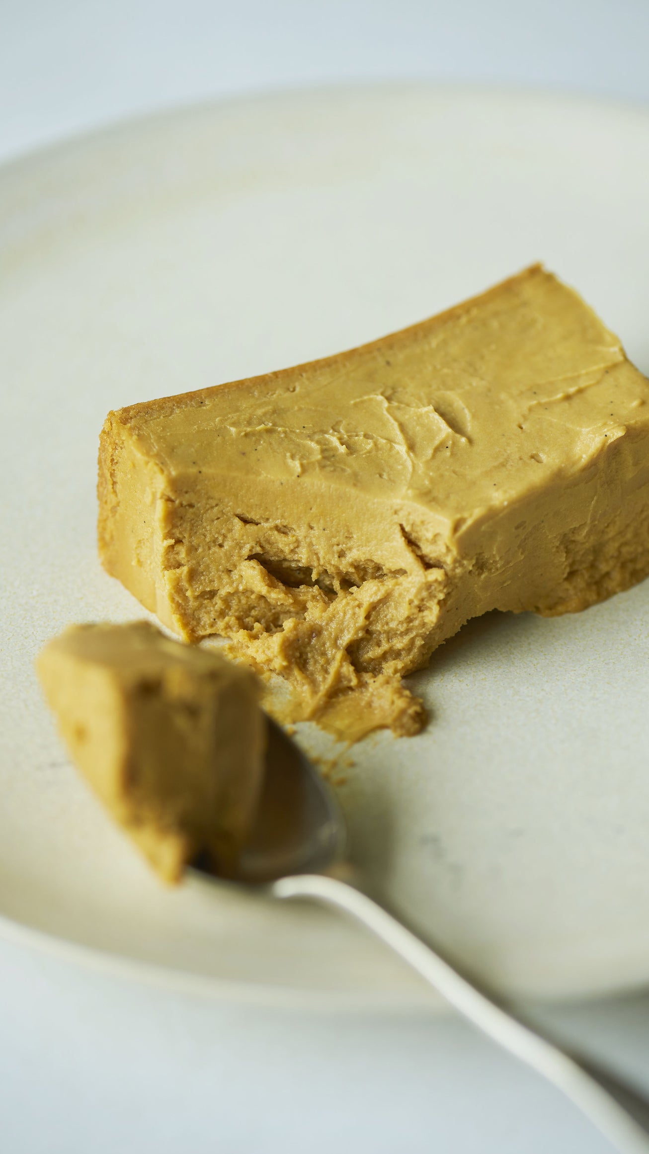 Mr. CHEESECAKE pumpkin hazelnut