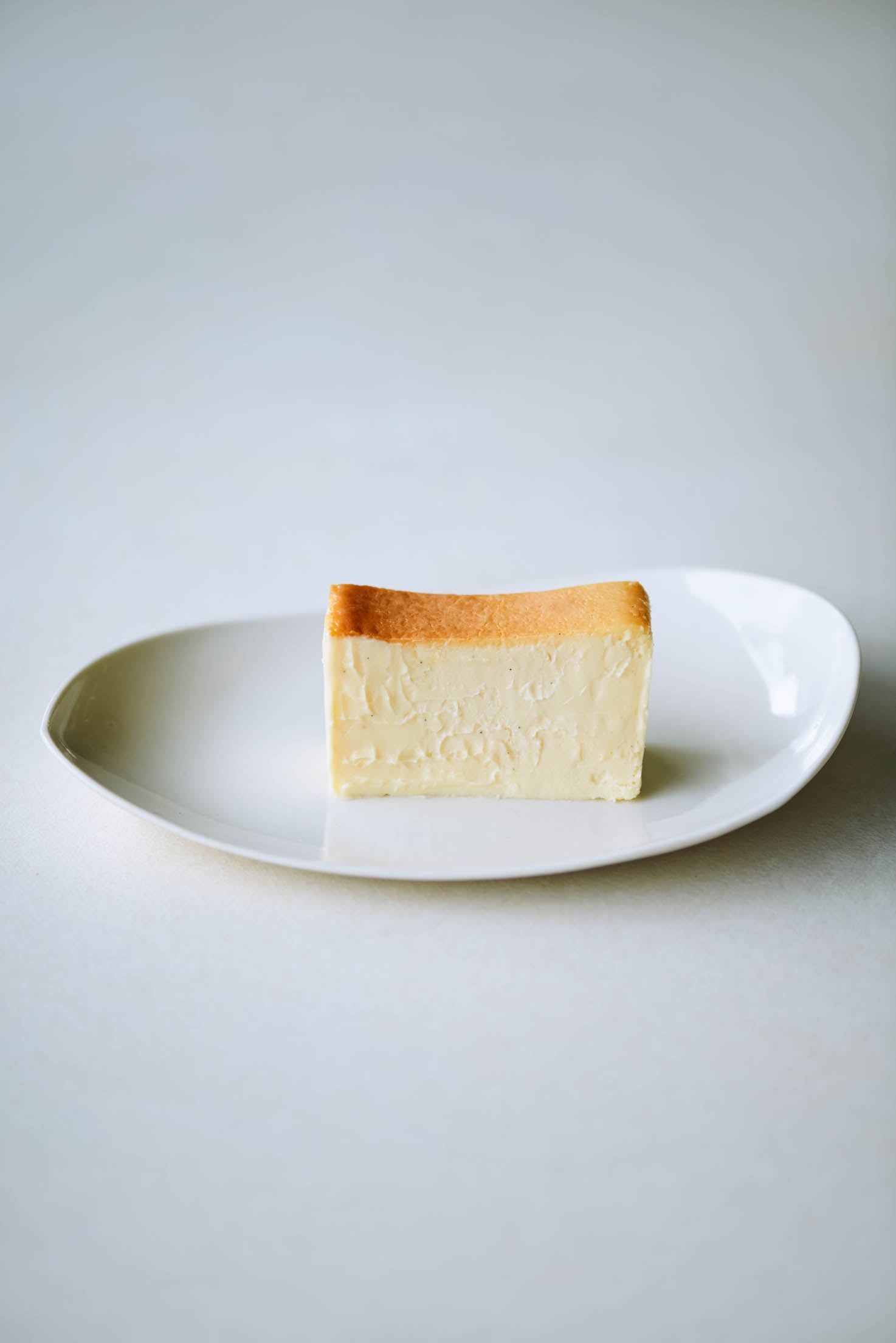 Mr. CHEESECAKE with Cooler Bag